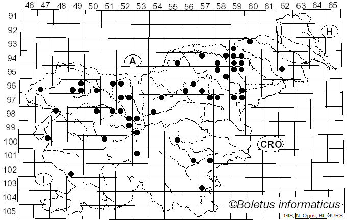 <i>Gomphidius maculatus</i> (Scop.) Fr.