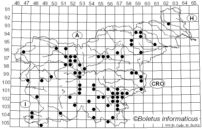 <i>Xerula pudens</i> (Pers.) Singer (1951)