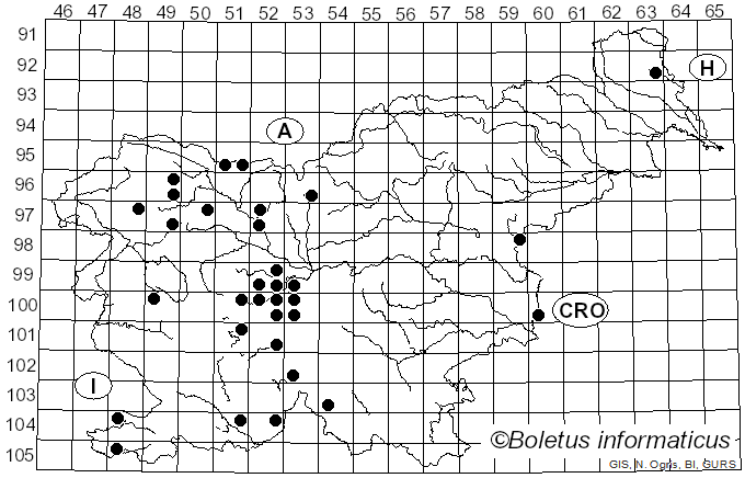 <i>Platycheirus</i> Matsumura (1917)