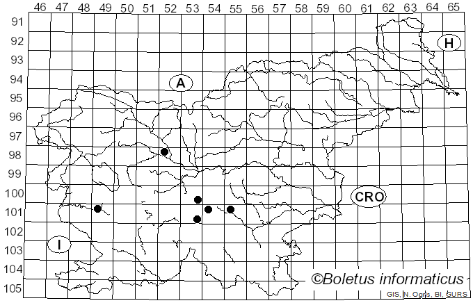 <i>Entoloma jubatum</i> (Fr.) P. Karst. (1879)