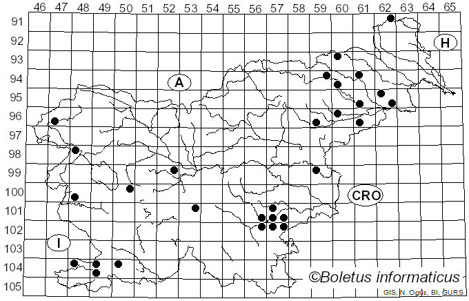 <i>Lentinellus ursinus</i> (Fr.) Kühner (1926)