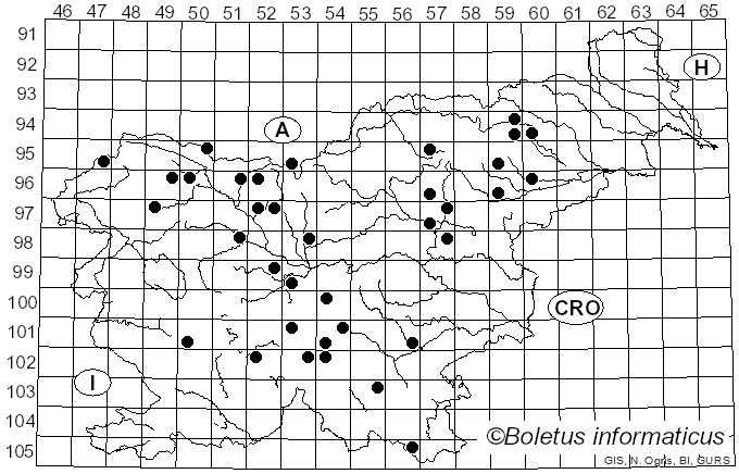 <i>Melanoleuca cognata</i> (Fr.) Konrad & Maubl. (1927)
