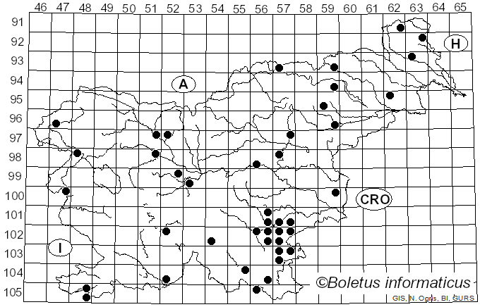 <i>Cantharellus melanoxeros</i> Desm. (1830)