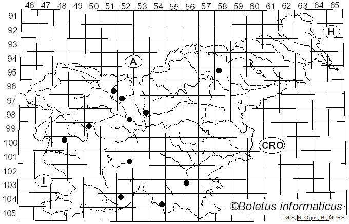 <i>Panellus violaceofulvus</i> (Batsch) Singer (1936)