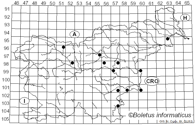 <i>Stigmella samiatella</i> Zeller