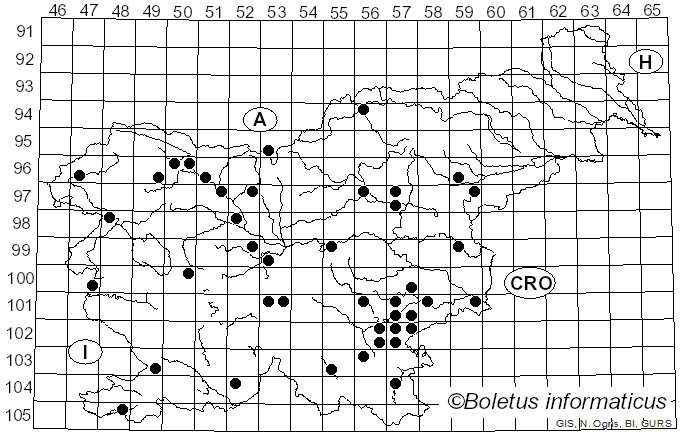 <i>Pluteus romellii</i> (Britzelm.) Lapl. (1895)