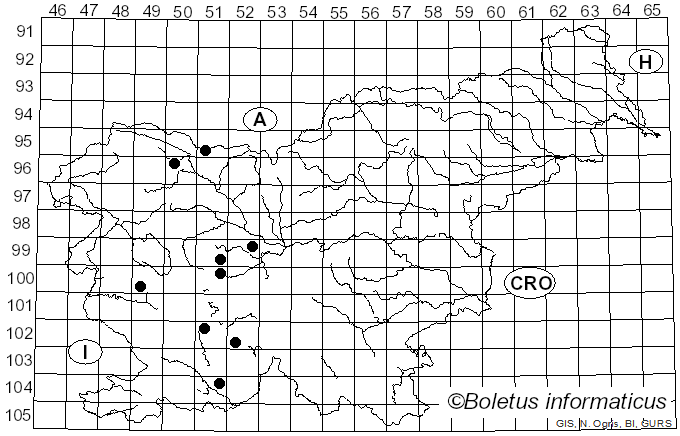 <i>Melangyna</i> Verrall (1901)