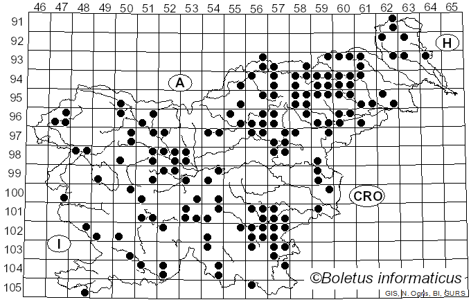 <i>Russula albonigra</i> (Krombh.) Fr. (1874)