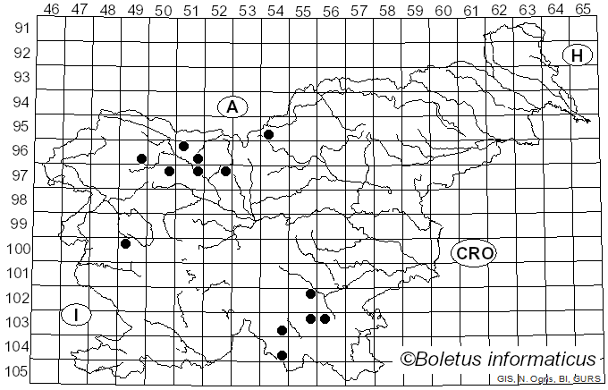 <i>Lachnellula subtilissima</i> (Cooke) Dennis (1962)
