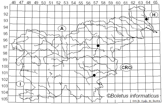 <i>Inermisia</i> Rifai (1968)