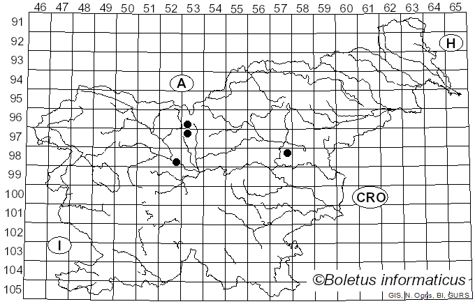 <i>Ectoedemia septembrella</i> Stainton (1849)
