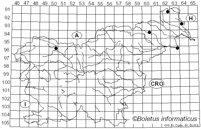 <i>Coryneum lanciforme</i> (Fr.) Voglmayr & Jaklitsch (2015)