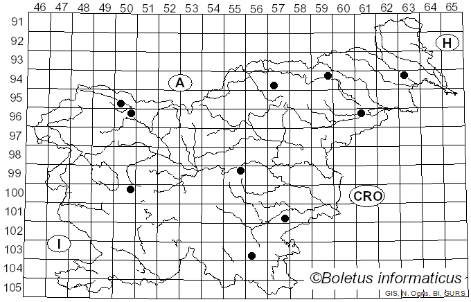 <i>Botryosphaeria visci</i> (Kalchbr.) Arx & E. Müll. (1954)
