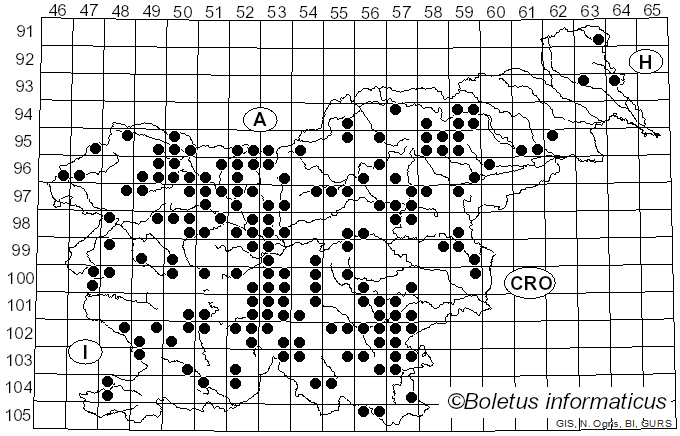 <i>Lactarius scrobiculatus</i> (Scop.) Fr. (1838)