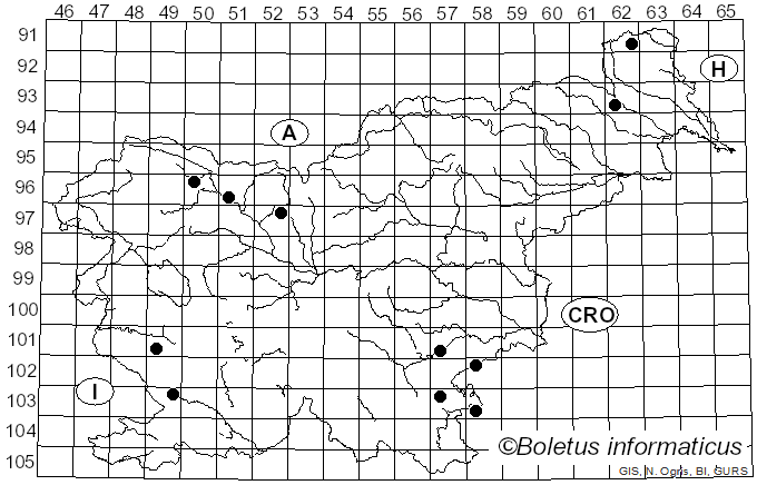 <i>Dendrothele</i> Höhn. & Litsch. (1907)