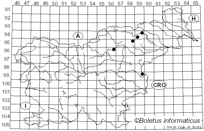 <i>Inocybe abjecta</i> P. Karst. (1879)