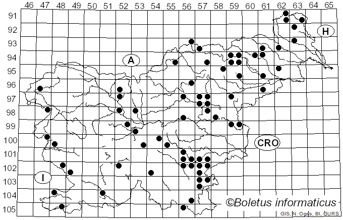 <i>Gymnopus erythropus</i> (Pers.) Antonín, Halling & Noordel. (1997)