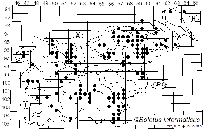 <i>Neoboletus</i> Gelardi, Simonini & Vizzini (2014)