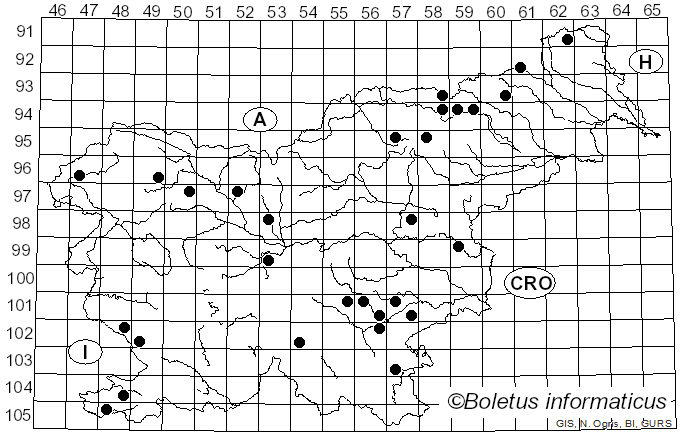 <i>Lactifluus bertillonii</i> (Neuhoff ex Z. Schaef.) Verbeken (2011)