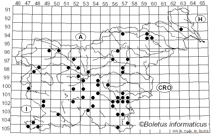 <i>Hohenbuehelia petaloides</i> (Bull.) Schulzer (1866)