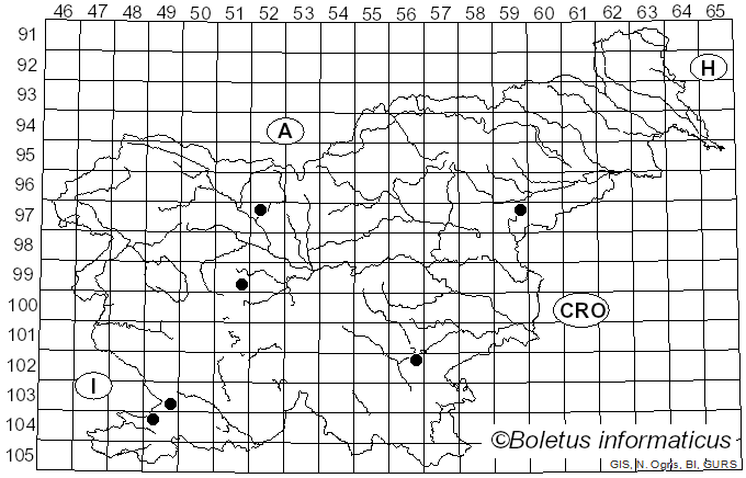 <i>Porostereum</i> Pilát (1937)