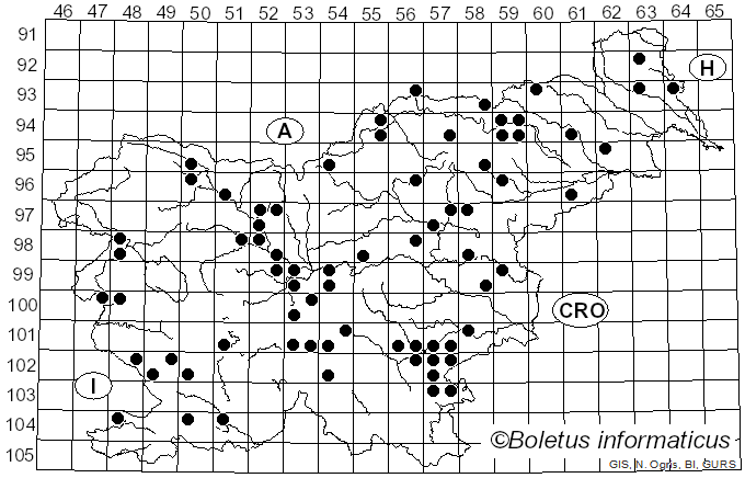<i>Grifola frondosa</i> (Dicks.) Gray (1821)