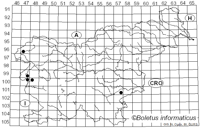 <i>Hygrophorus unicolor</i> Gröger (1980)