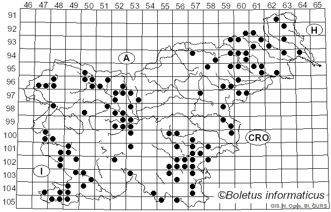 <i>Auricularia mesenterica</i> (Dicks.) Pers. (1822)