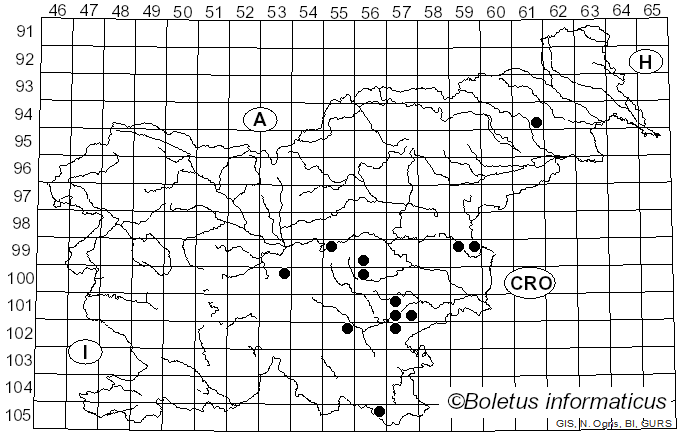 <i>Helicogloea compressa</i> (Ellis & Everh.) V. Malysheva & K. Põldmaa (2018)