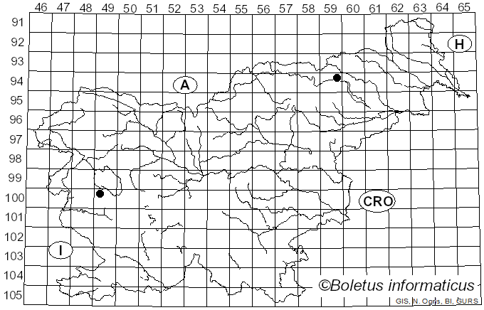 <i>Muscinupta laevis</i> (Fr.) Redhead, Lücking & Lawrey (2009)