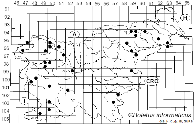 <i>Calycina</i> Nees ex Gray (1821)