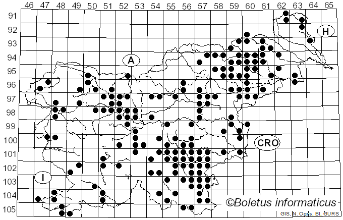 <i>Artomyces pyxidatus</i> (Pers.) Jülich (1982)