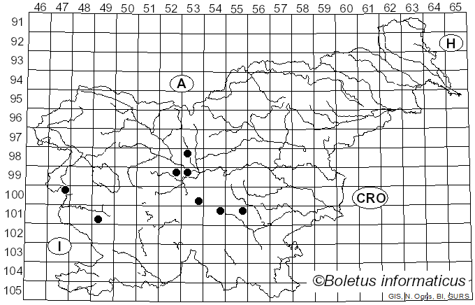 <i>Stropharia albonitens</i> (Fr.) P. Karst. (1879)