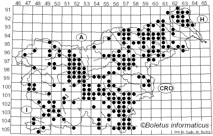 <i>Daedaleopsis confragosa</i> (Bolton) J. Schröt. (1888)