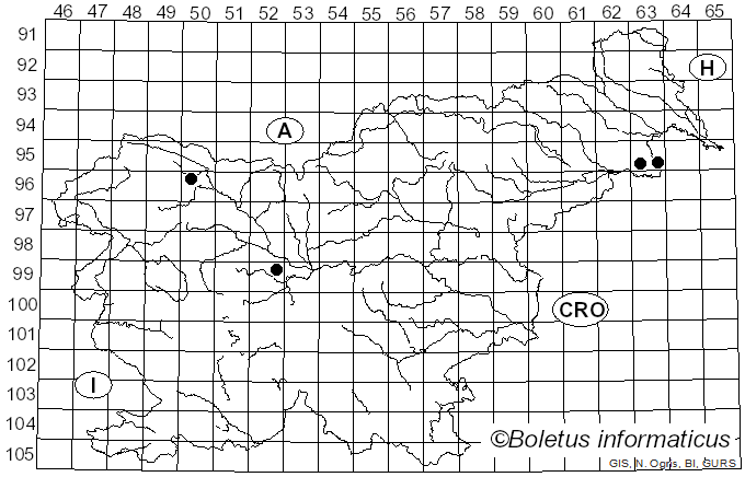 <i>Helminthosporium velutinum</i> Link (1809)