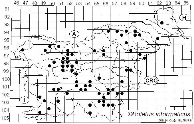 <i>Ischnoderma</i> P. Karst. (1879)