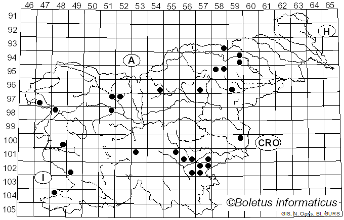 <i>Ramaria lutea</i> (Vent.) Schild (1977)