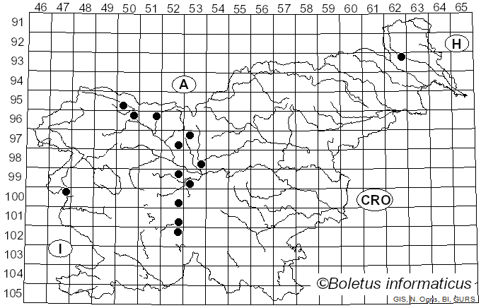 <i>Oidium</i> Link (1809)