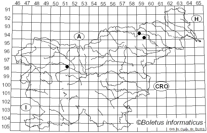 <i>Psathyrella murcida</i> (Fr.) Kits van Wav. (1985)