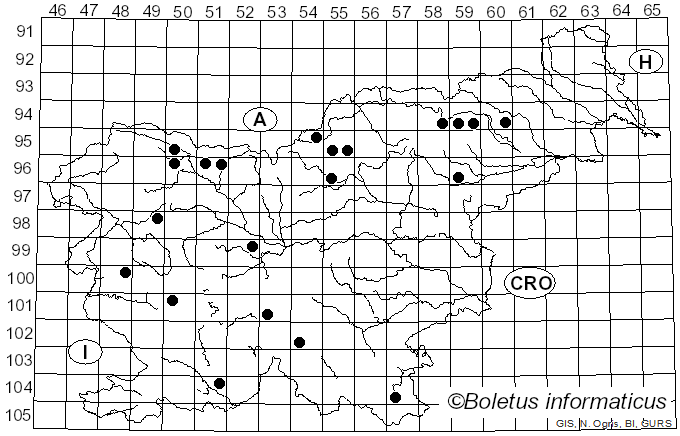 <i>Mycena viridimarginata</i> P. Karst. (1892)