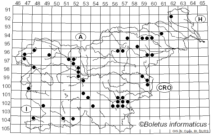 <i>Stropharia caerulea</i> Kreisel (1980)