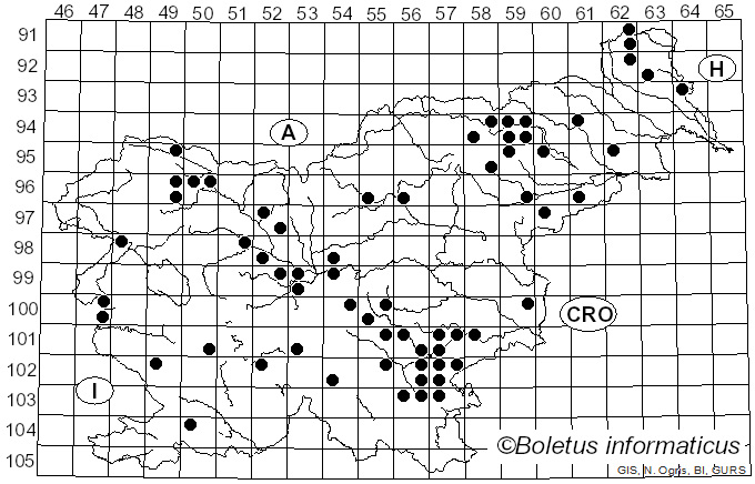 <i>Cyanosporus subcaesius</i> (A. David) B.K. Cui, L.L. Shen & Y.C. Dai (2018)