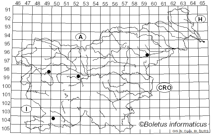 <i>Hygrophorus ligatus</i> (Fr.) Fr. (1838)