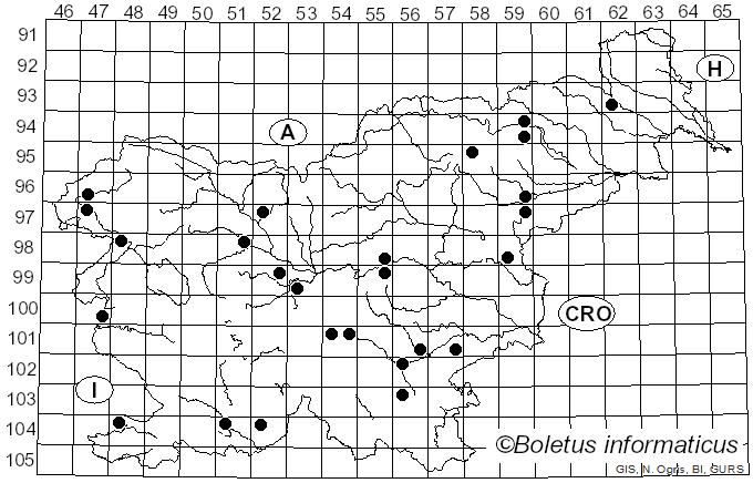 <i>Thaxterogaster croceocoeruleus</i> (Pers.) Niskanen & Liimat. (2022)