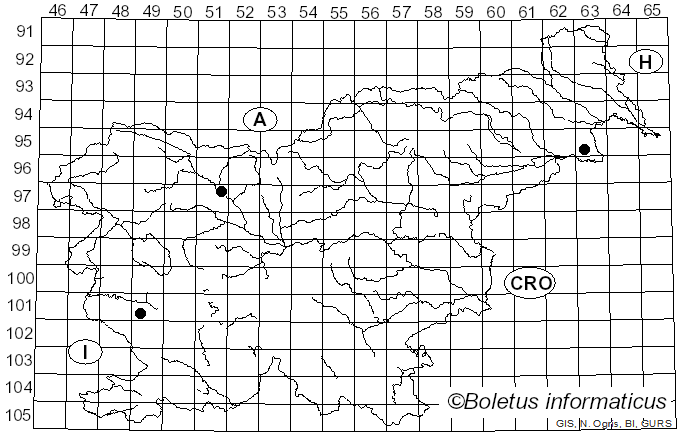 <i>Byssocorticium</i> Bondartsev & Singer (1944)