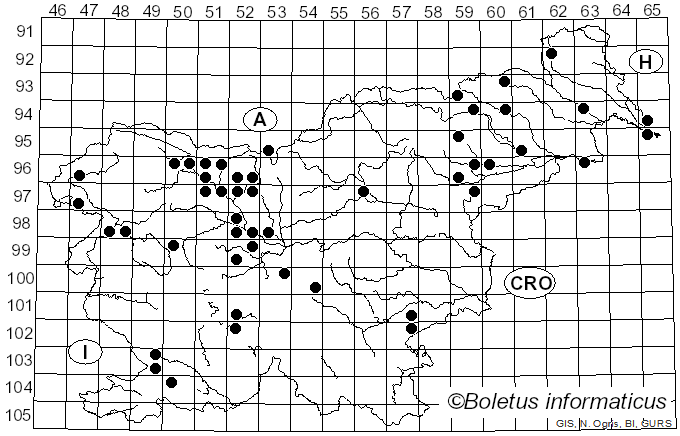<i>Sarcoscypha austriaca</i> (Beck ex Sacc.) Boud. (1907)