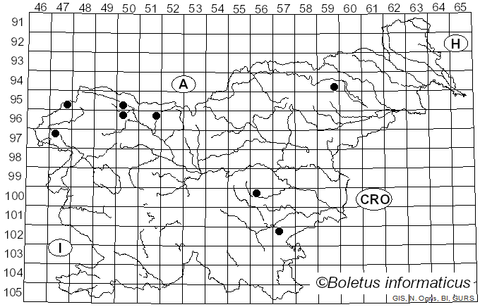 <i>Dacrymyces capitatus</i> Schwein. (1832)