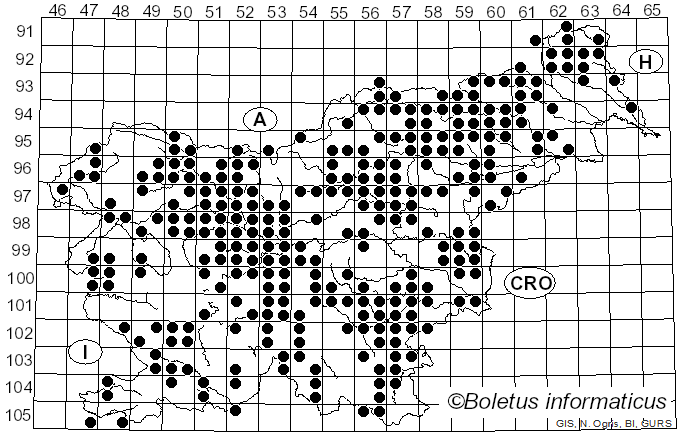 <i>Laccaria</i> Berk. & Broome (1883)