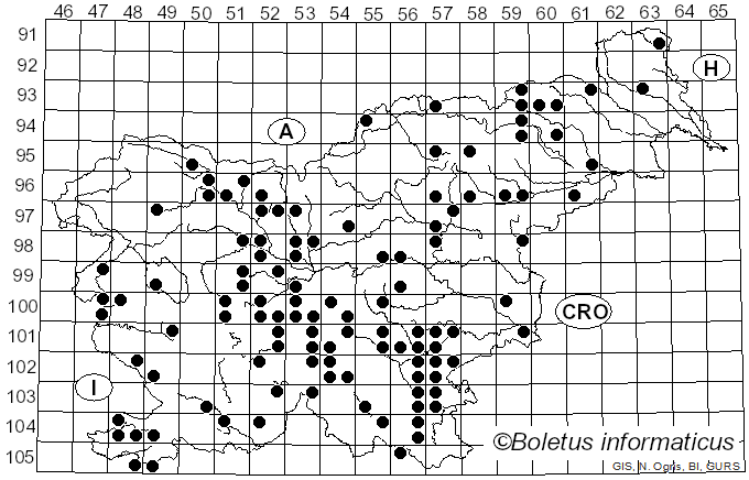 <i>Rubroboletus satanas</i> (Lenz) Kuan Zhao & Zhu L. Yang (2014)