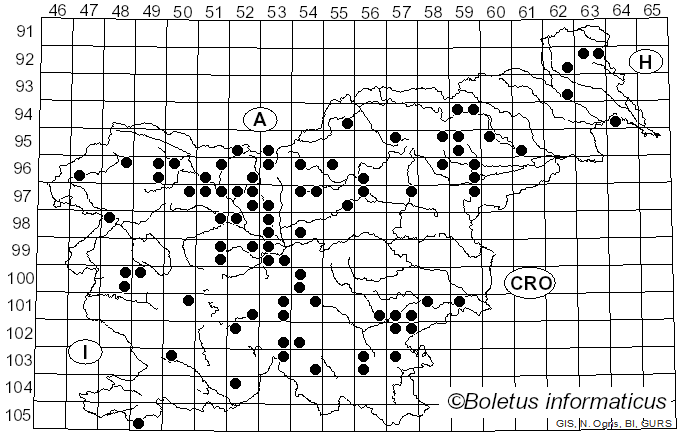 <i>Gyromitra</i> Fr. (1849)